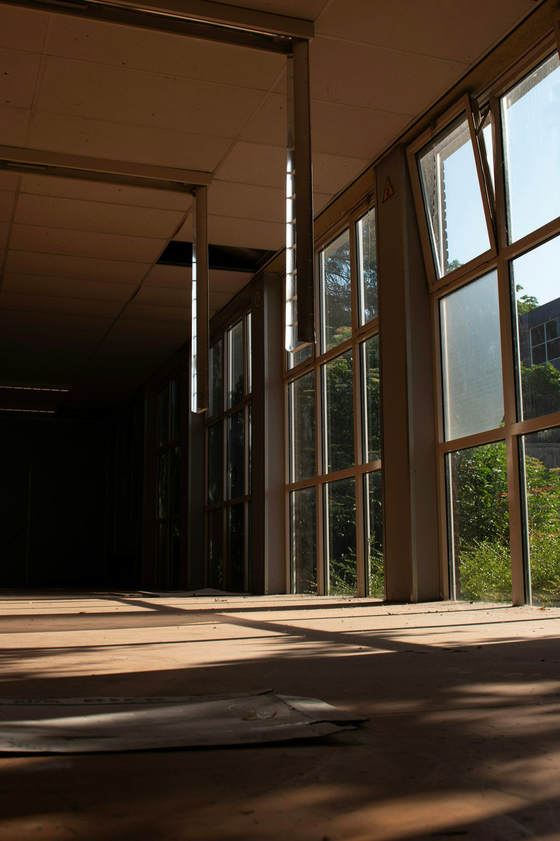 Sunlight streaming through tall windows into an empty room