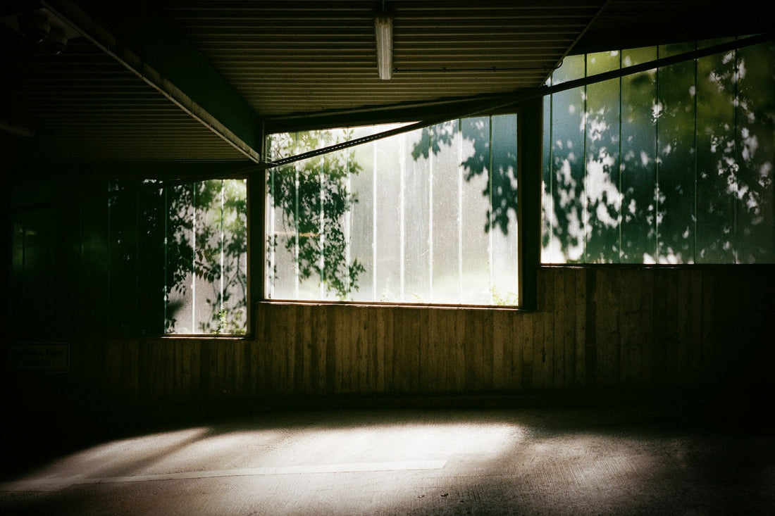 Sunlight and leaf shadows falling across empty windows in a quiet room