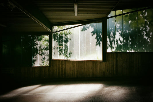 Sunlight and leaf shadows falling across empty windows in a quiet room