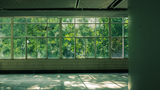 Sunlight through large windows into an empty room